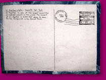 Postcards Reverse